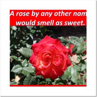 A ROSE by any other name Posters and Art